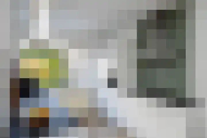 Geert Grotestraat 13 Dalfsen thumbnail 13