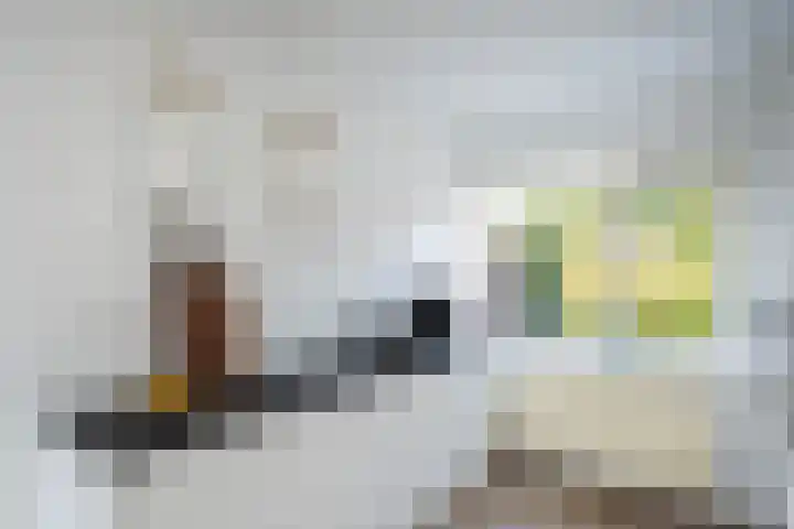 Geert Grotestraat 13 Dalfsen thumbnail 14