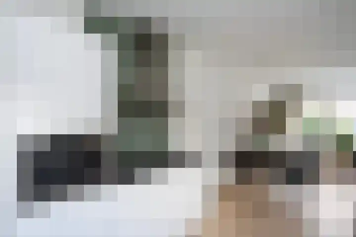 Geert Grotestraat 13 Dalfsen thumbnail 15