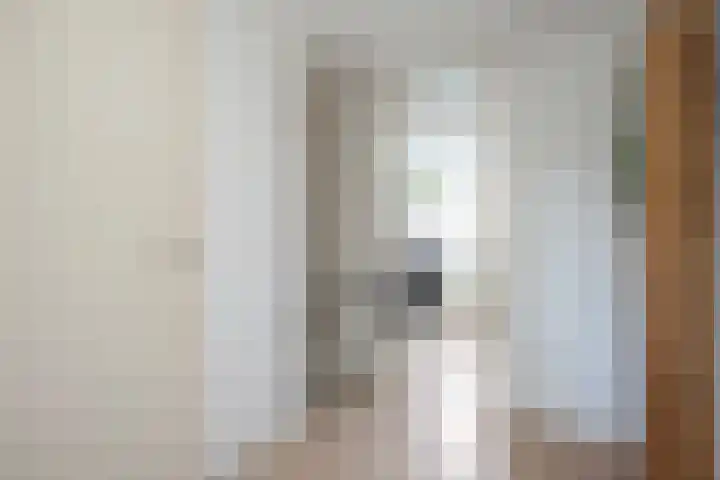 Geert Grotestraat 13 Dalfsen thumbnail 17