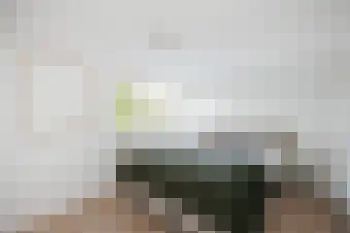 Geert Grotestraat 13 Dalfsen thumbnail 19