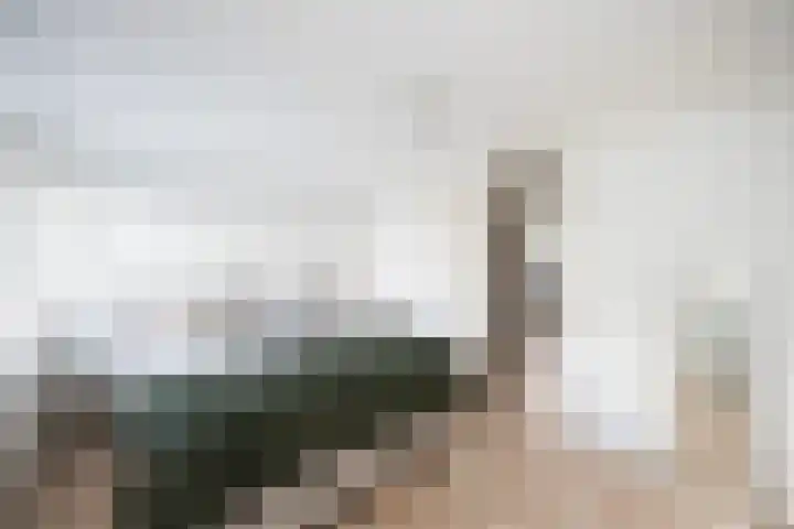 Geert Grotestraat 13 Dalfsen thumbnail 21