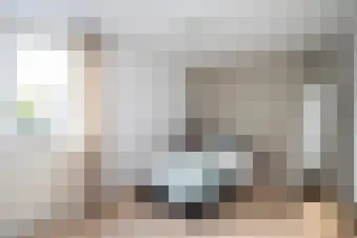 Geert Grotestraat 13 Dalfsen thumbnail 22