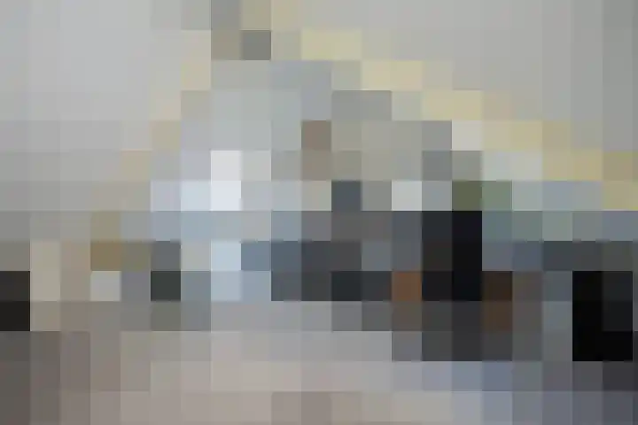 Geert Grotestraat 13 Dalfsen thumbnail 26