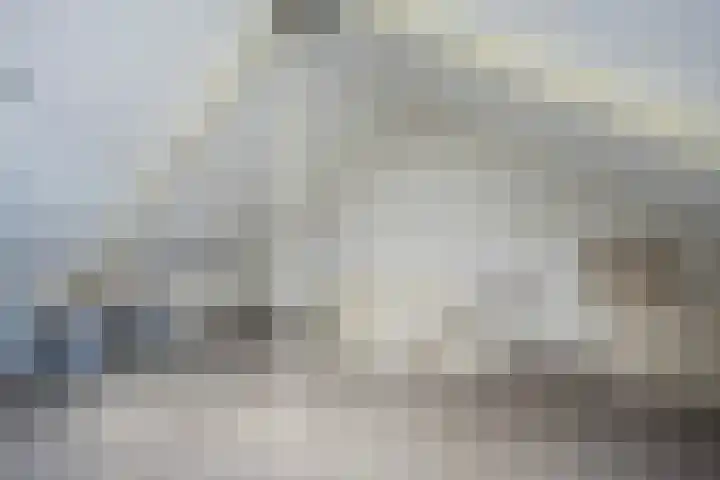 Geert Grotestraat 13 Dalfsen thumbnail 27