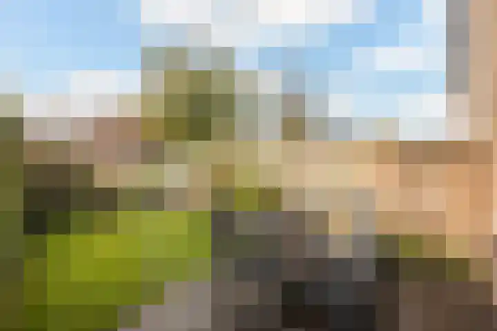 Geert Grotestraat 13 Dalfsen thumbnail 28