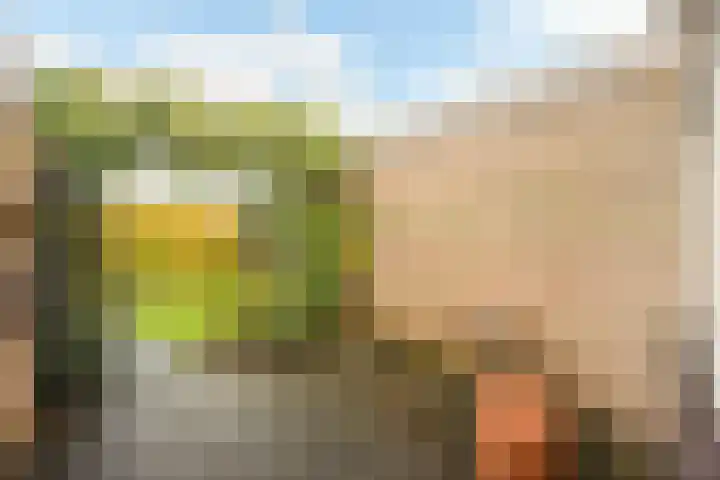Geert Grotestraat 13 Dalfsen thumbnail 30