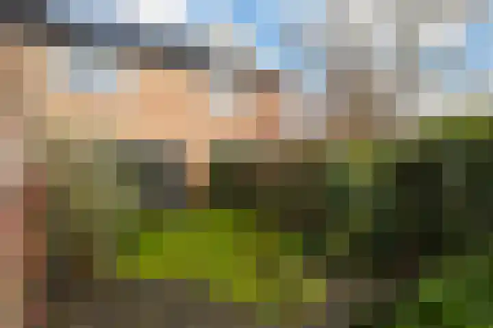 Geert Grotestraat 13 Dalfsen thumbnail 33