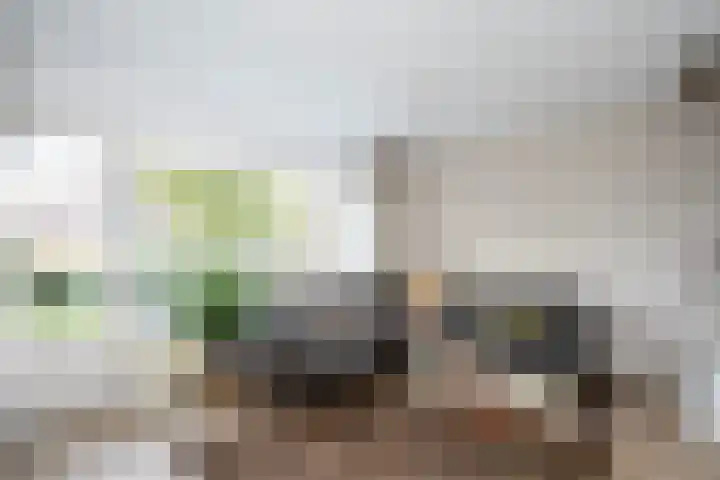 Geert Grotestraat 13 Dalfsen thumbnail 7