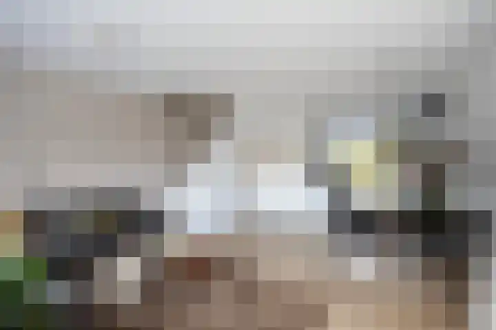 Geert Grotestraat 13 Dalfsen thumbnail 9