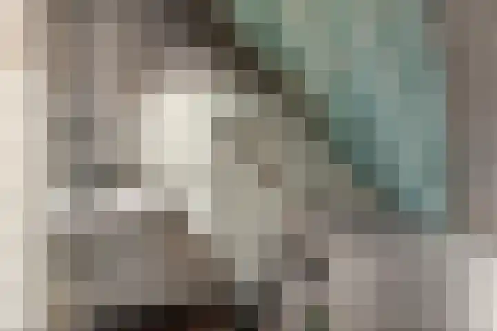 Geert Knolweg 1 Joure thumbnail 18