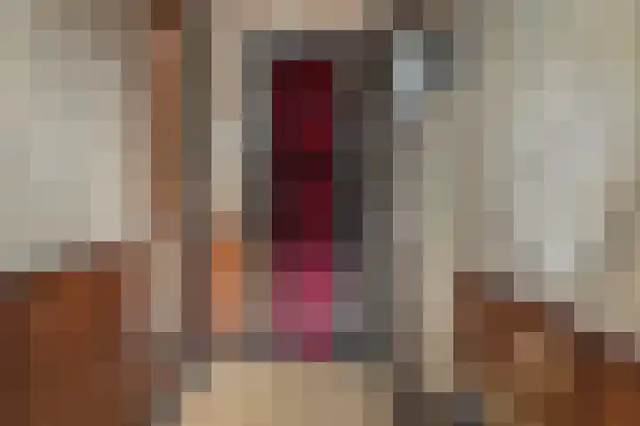 Geert Knolweg 1 Joure thumbnail 19
