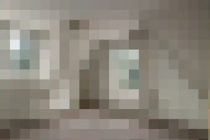 Geert Knolweg 1 Joure thumbnail 21