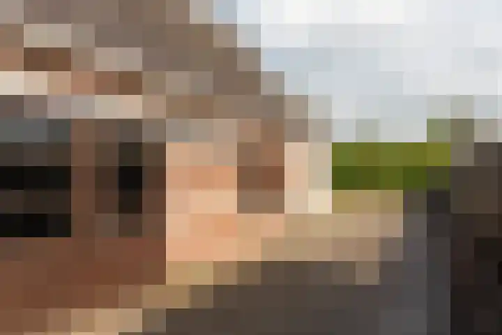Geert Knolweg 1 Joure thumbnail 25