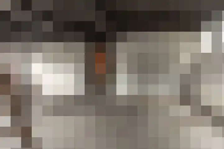 Geert Knolweg 1 Joure thumbnail 27