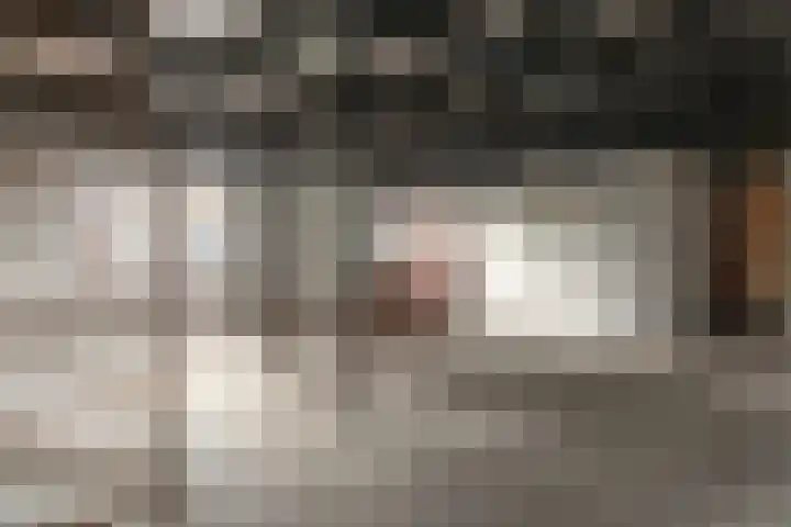 Geert Knolweg 1 Joure thumbnail 30