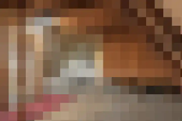 Geert Knolweg 1 Joure thumbnail 34