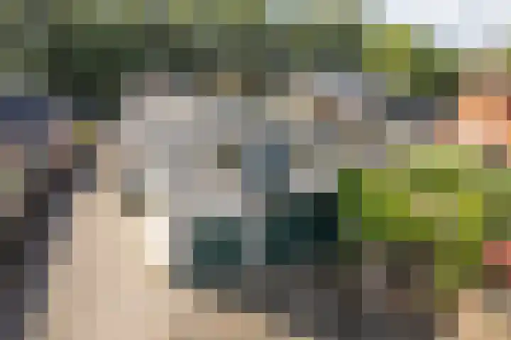 Geert Knolweg 1 Joure thumbnail 38