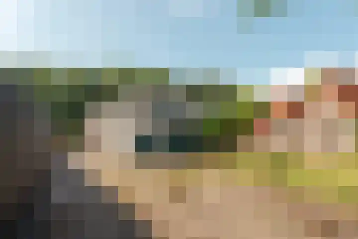 Geert Knolweg 1 Joure thumbnail 39