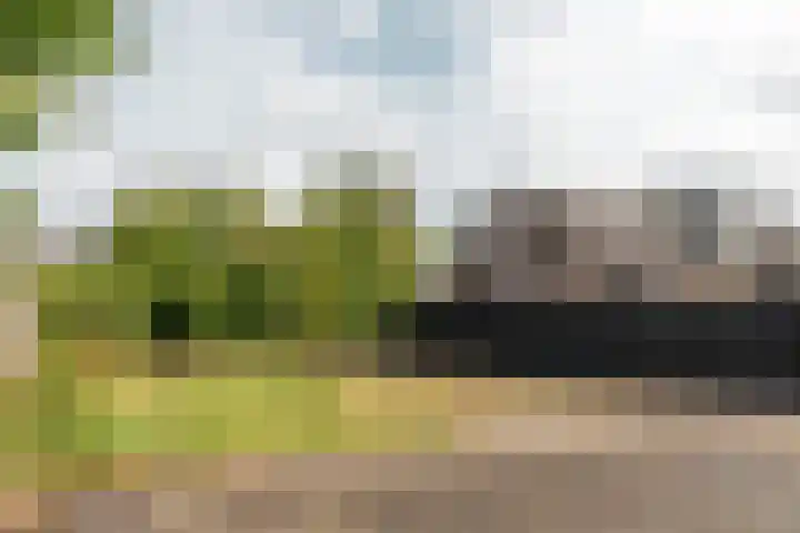 Geert Knolweg 1 Joure thumbnail 40