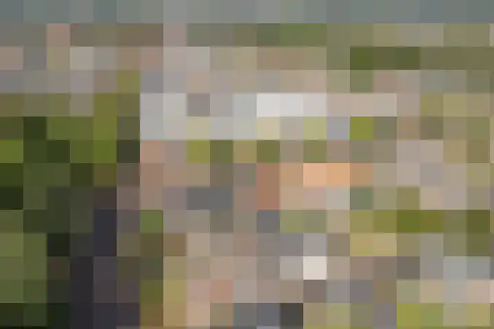 Geert Knolweg 1 Joure thumbnail 42