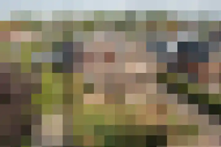 Geert Knolweg 1 Joure thumbnail 7