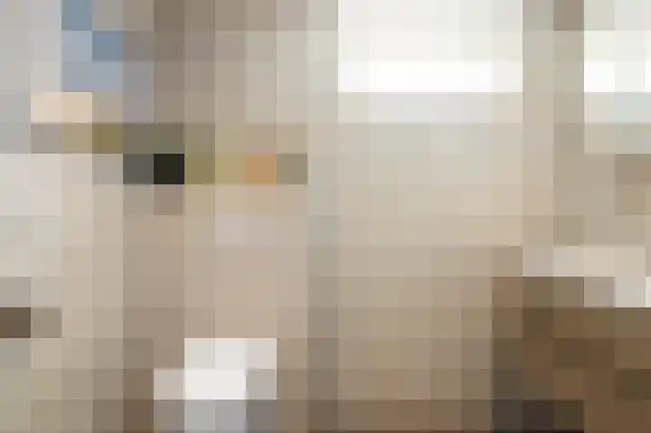Geert Knolweg 58 b Joure thumbnail 17