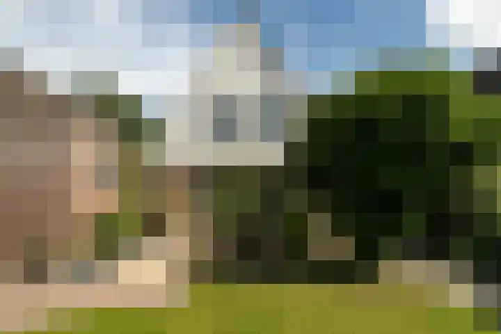 Geert Knolweg 58 b Joure thumbnail 18