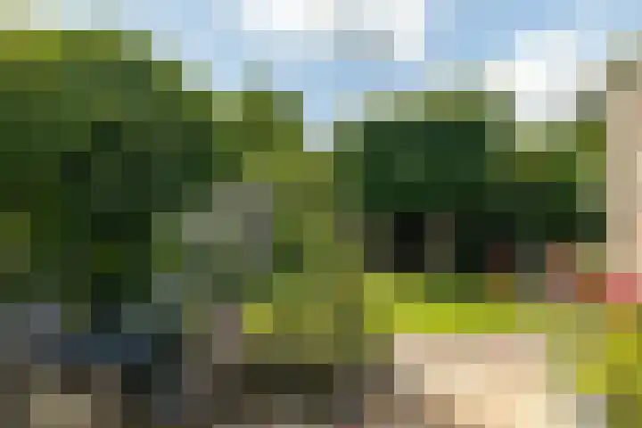 Geert Knolweg 58 b Joure thumbnail 19