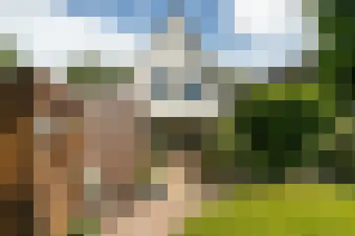Geert Knolweg 58 b Joure thumbnail 20