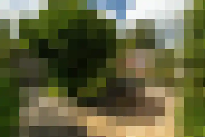 Geert Knolweg 58 b Joure thumbnail 22