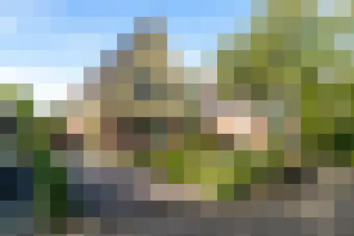 Geert Knolweg 58 b Joure thumbnail 4