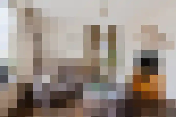 Geert Knolweg 77 Joure thumbnail 10