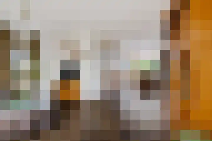 Geert Knolweg 77 Joure thumbnail 11