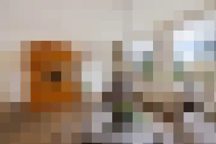 Geert Knolweg 77 Joure thumbnail 12