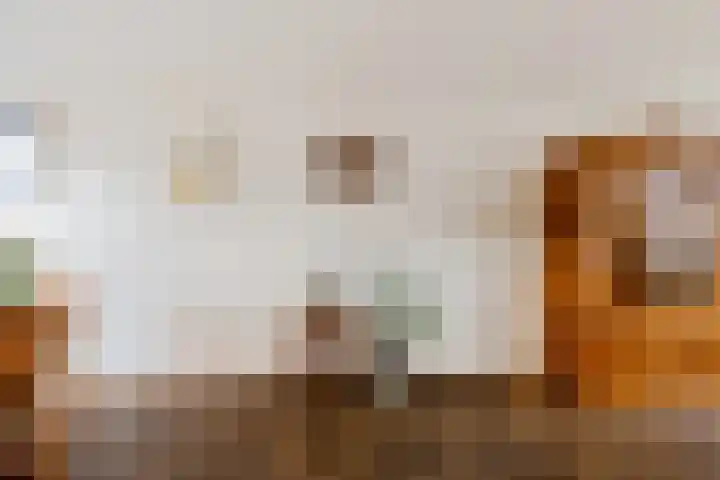 Geert Knolweg 77 Joure thumbnail 14