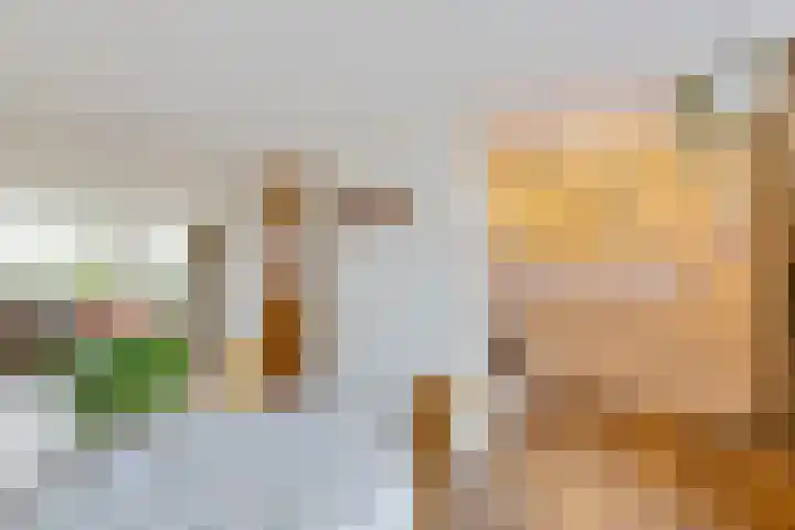 Geert Knolweg 77 Joure thumbnail 16