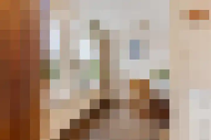 Geert Knolweg 77 Joure thumbnail 17