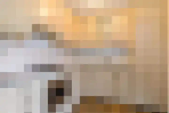 Geert Knolweg 77 Joure thumbnail 19