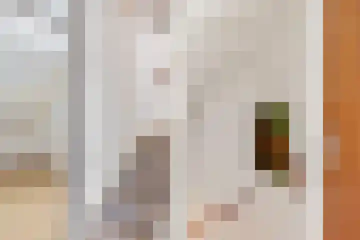Geert Knolweg 77 Joure thumbnail 22