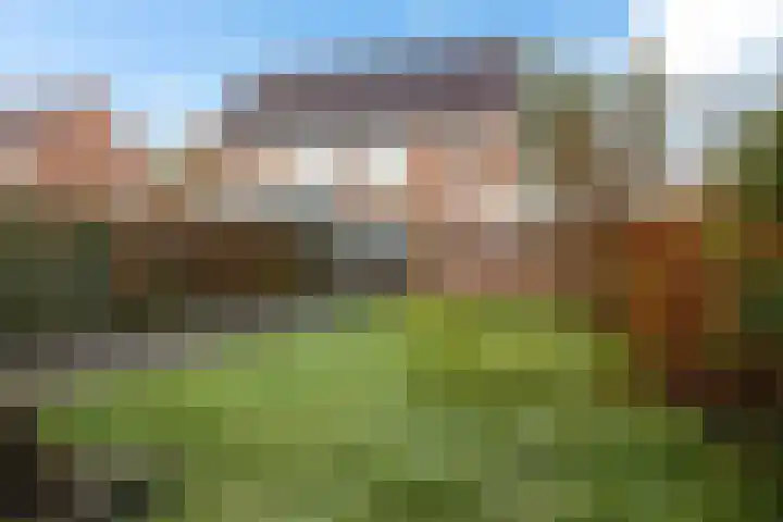 Geert Knolweg 77 Joure thumbnail 35