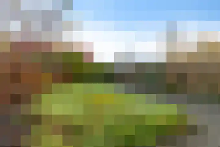 Geert Knolweg 77 Joure thumbnail 37