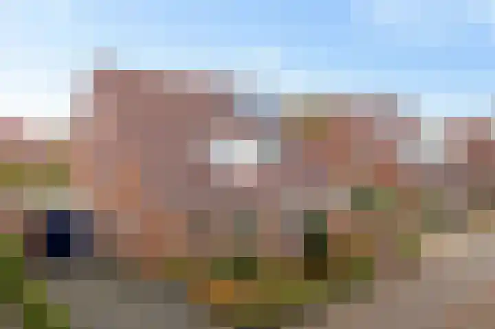 Geert Knolweg 77 Joure thumbnail 39