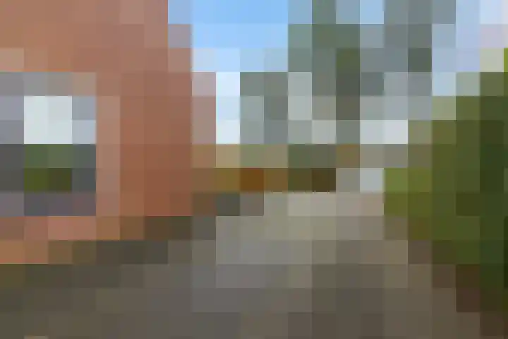 Geert Knolweg 77 Joure thumbnail 40