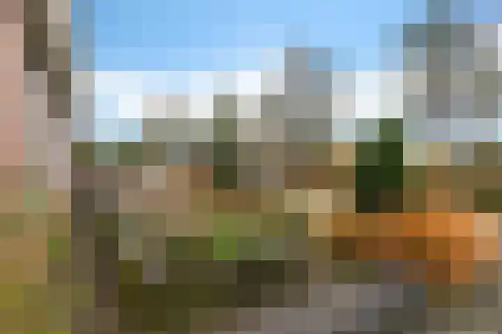 Geert Knolweg 77 Joure thumbnail 41