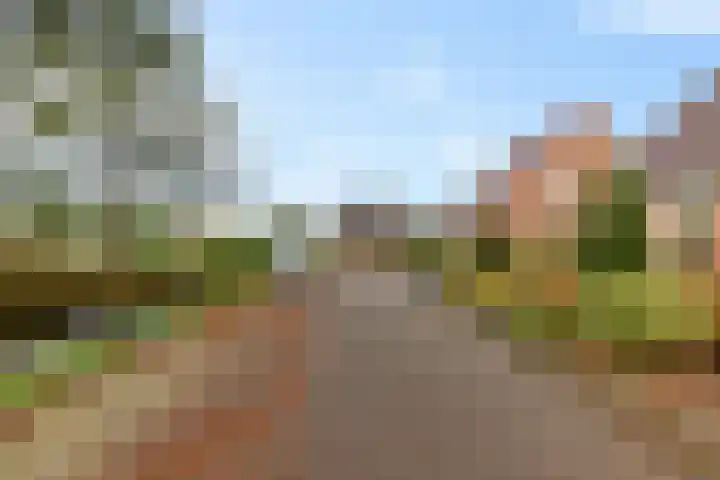Geert Knolweg 77 Joure thumbnail 42