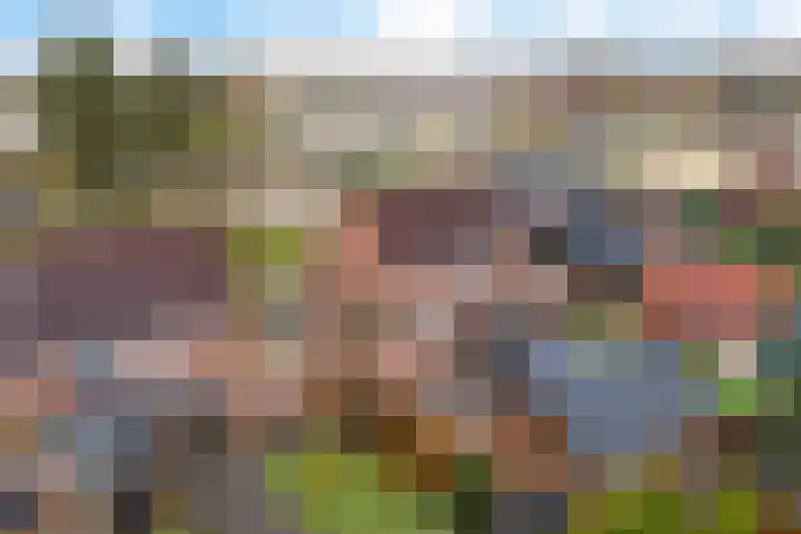 Geert Knolweg 77 Joure thumbnail 44