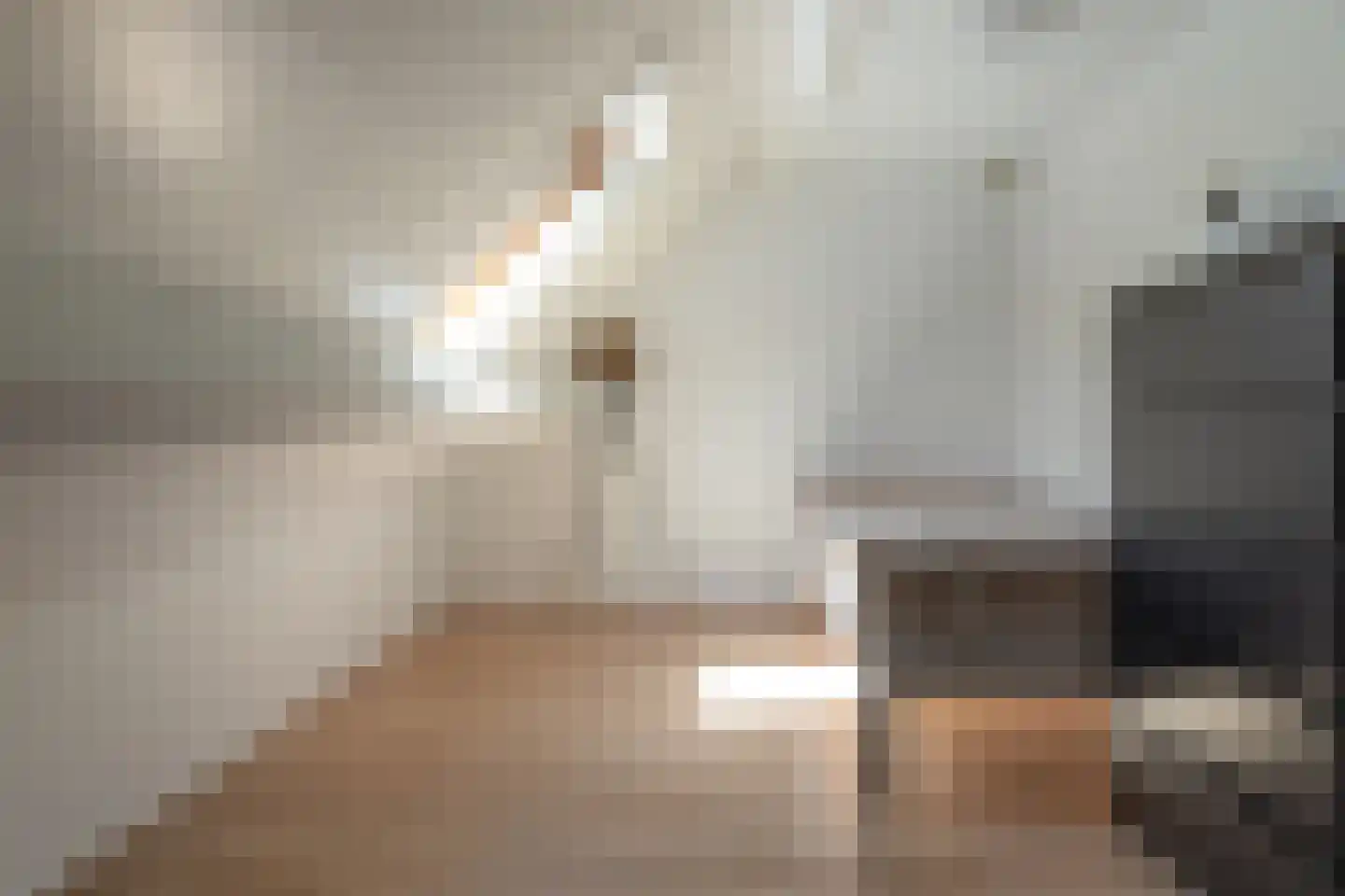 Geert Knolweg 91 Joure thumbnail 30