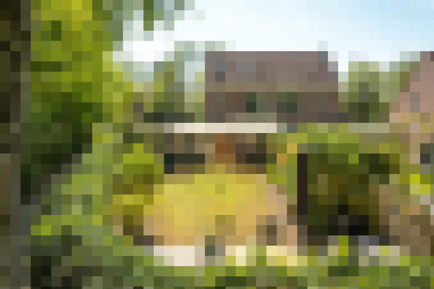 Geert Knolweg 91 Joure thumbnail 43