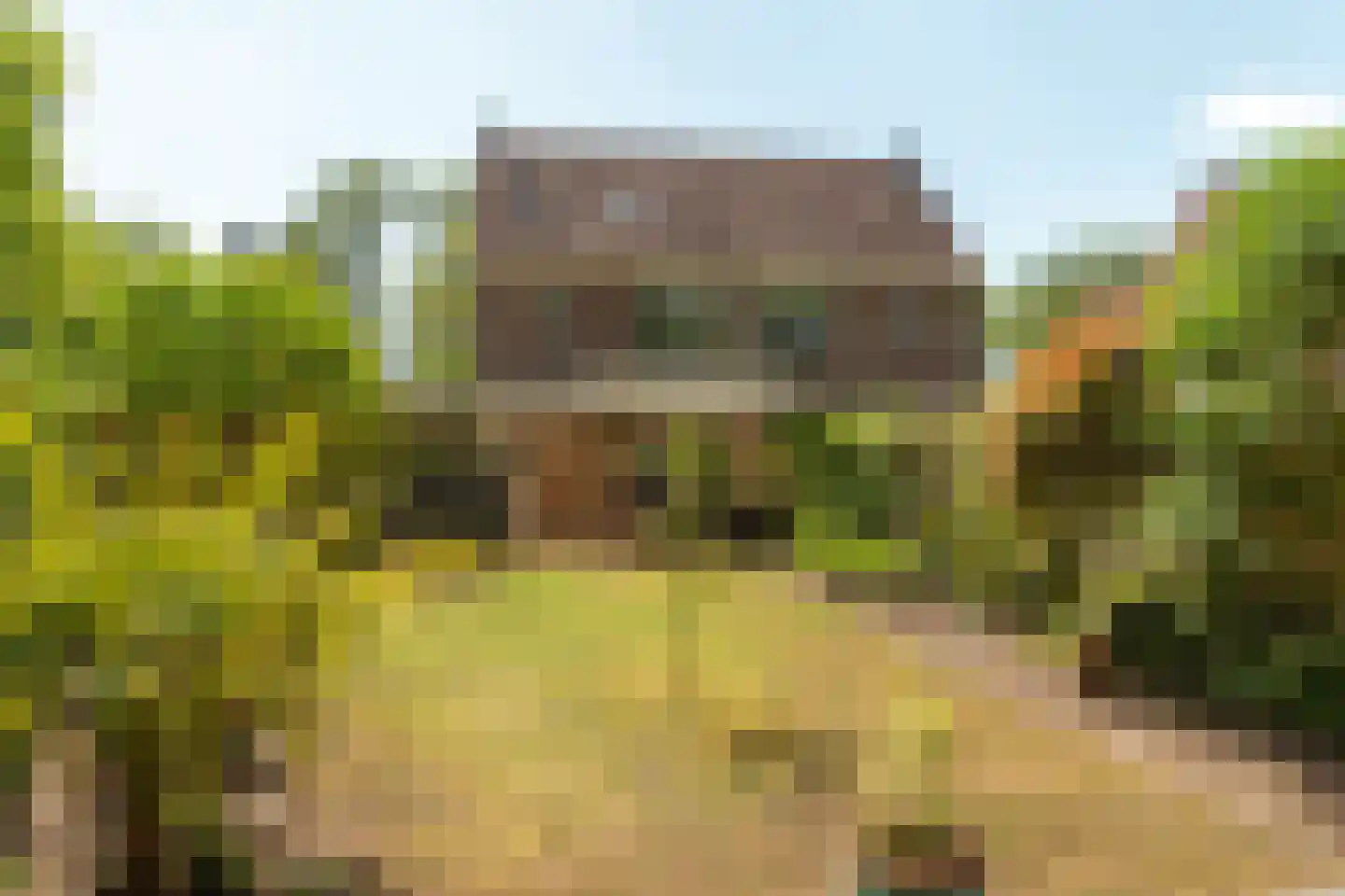 Geert Knolweg 91 Joure thumbnail 44
